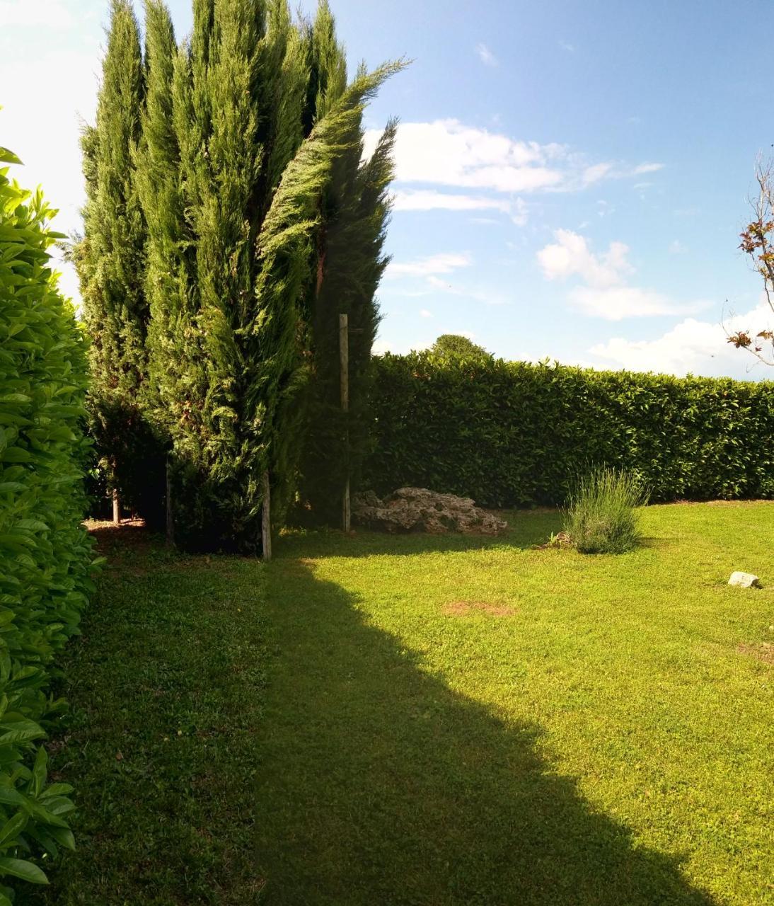 Ferienwohnung A Viterbo Terme "Casa Vacanze Al Melograno" Exterior foto